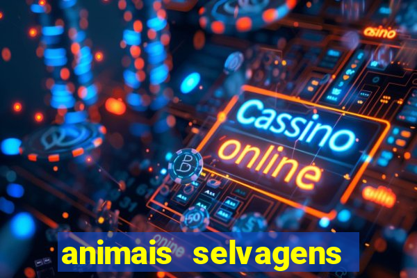 animais selvagens fotos e nomes